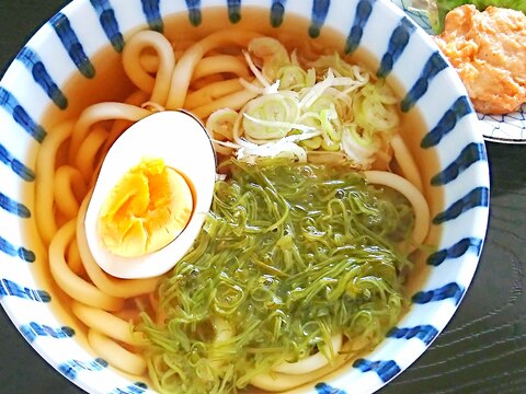 めかぶうどん